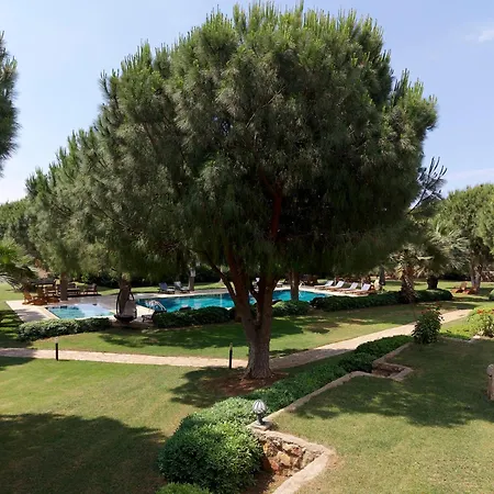 Casa Elia Datca 穆拉